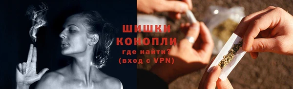 PSILOCYBIN Аркадак