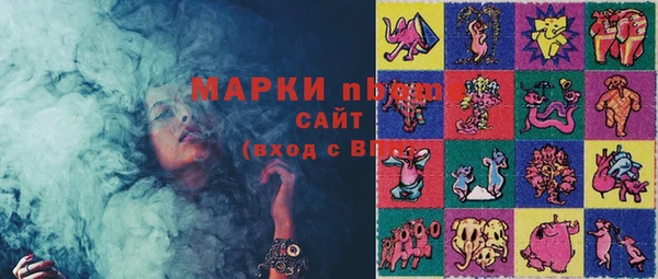 крисы Баксан