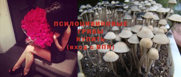 крисы Баксан
