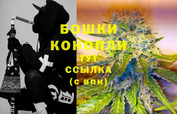 PSILOCYBIN Аркадак