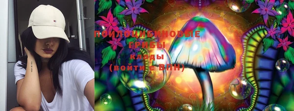 PSILOCYBIN Аркадак
