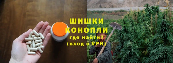 PSILOCYBIN Аркадак